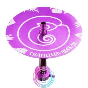 Chameleon Crazy Series Morada Chameleon Crazy Series Morada