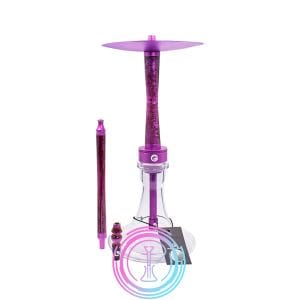 Chameleon Crazy Series Morada Chameleon Crazy Series Morada