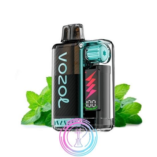 Pod Desechable Vozol Neon 800 20mg Pod recargable Vozol Vista Plug