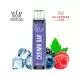 Pod Desechable Al Fakher 