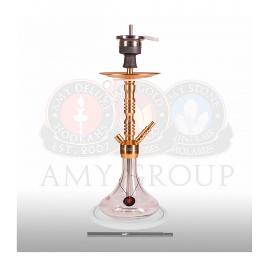 Amy 073.02 Alu Sierra S Gold Clear Amy 073.02 Alu Sierra S Gold Clear