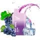 Pod Desechable Ant Vape ANT600
