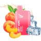 Pod Desechable Ant Vape ANT600