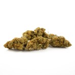 Flor Only CBD Gelato 33