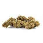 Flor Only CBD Mango Haze