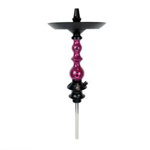 Regal D.W. Mini Queen Pink Lady