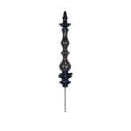 Regal Queen Black