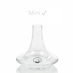Base Steamulation Pro X Mini Clear